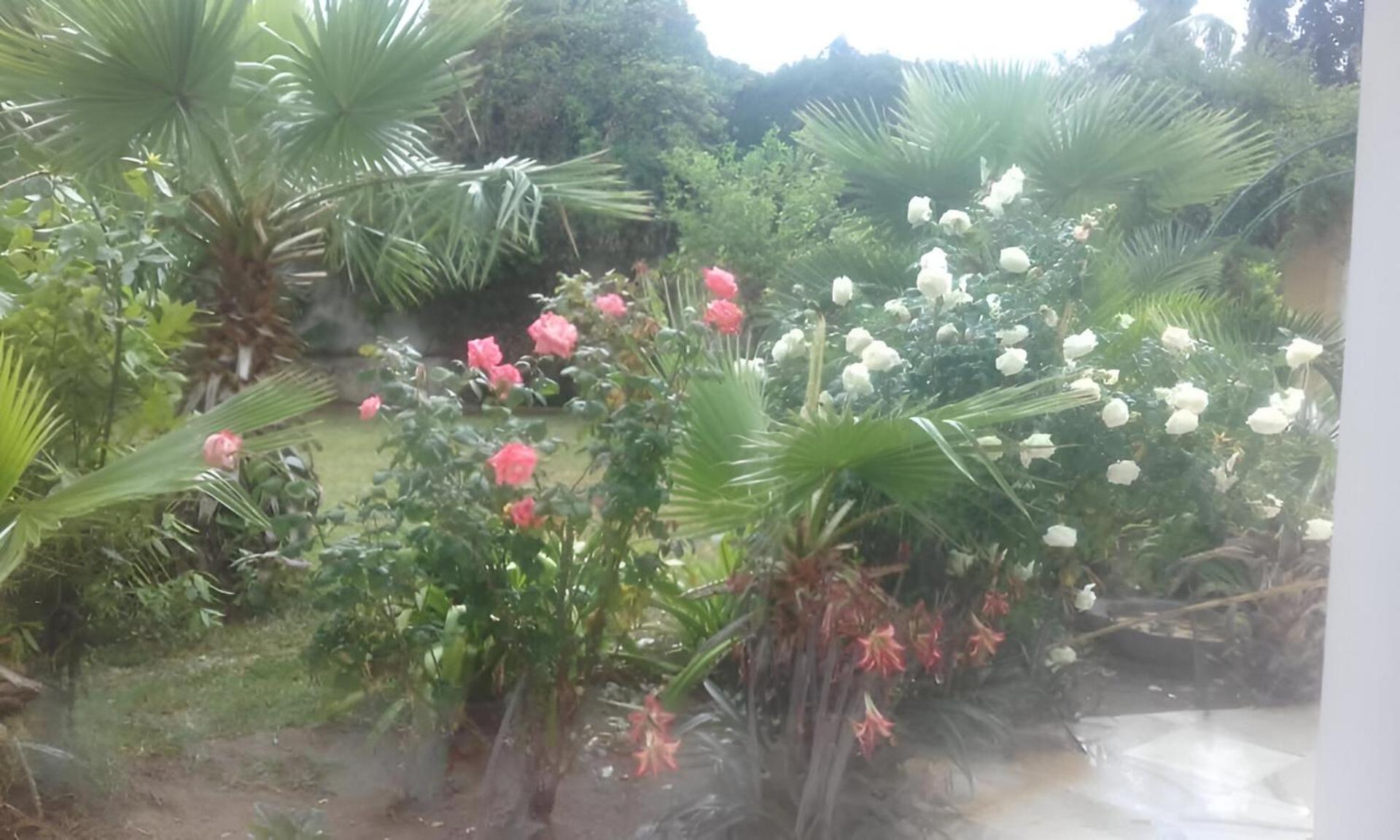 Au Bout Du Jardin Villa Carthage Ngoại thất bức ảnh
